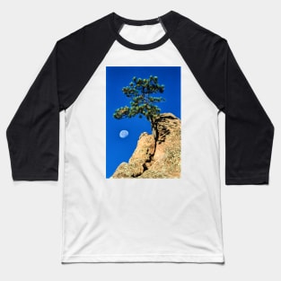 Moon Tree Baseball T-Shirt